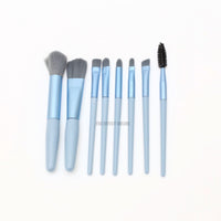 Makeup Brushes