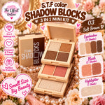 S.T.F Color Shadow Blocks 3-in-1 Mini Kit